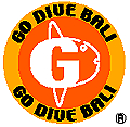 GO DIVE BALI のホームページ
